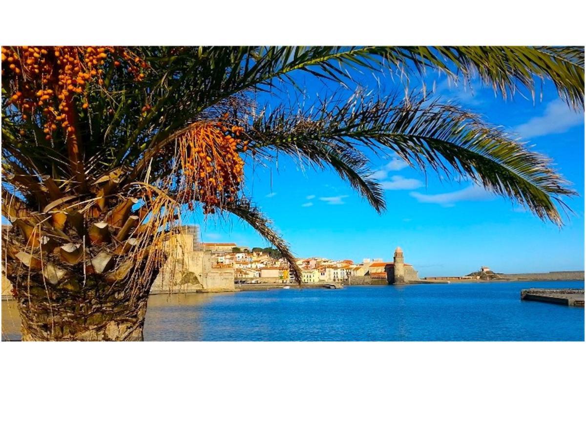 Du Soleil Apartment Collioure